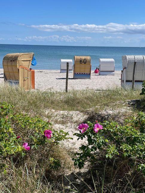 Fewo-Mit-Terasse-U-Garten-Am-Golfplatz Wulfen auf Fehmarn 外观 照片